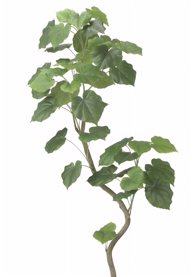 光触媒　人工観葉植物　フェイクグリーン　ツイストウンベラータ1.6