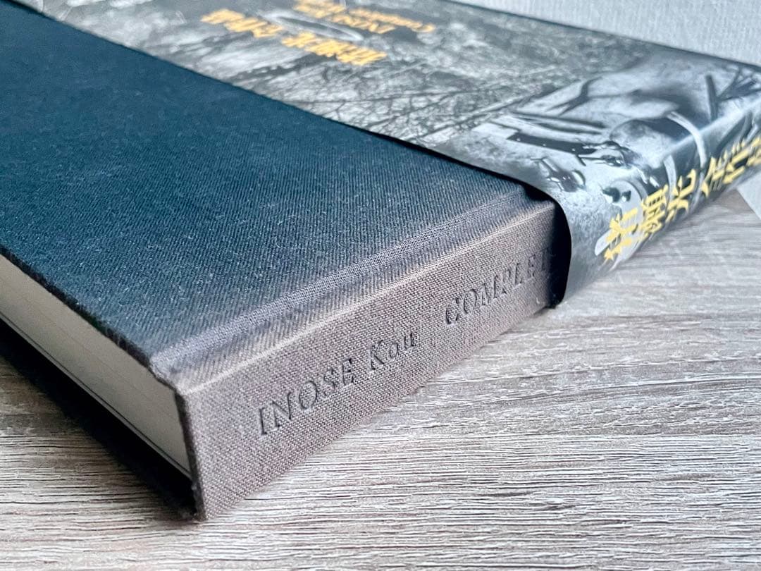 猪瀬光 全作品 写真集 INOSE KOU