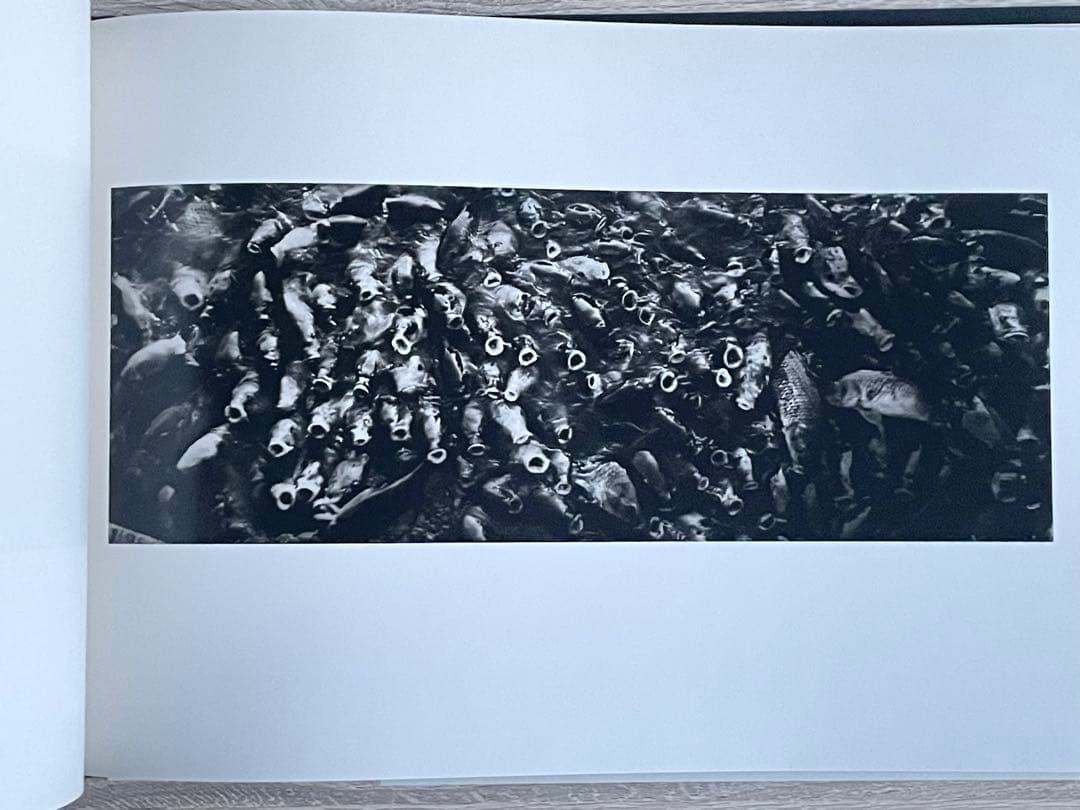 猪瀬光 全作品 写真集 INOSE KOU