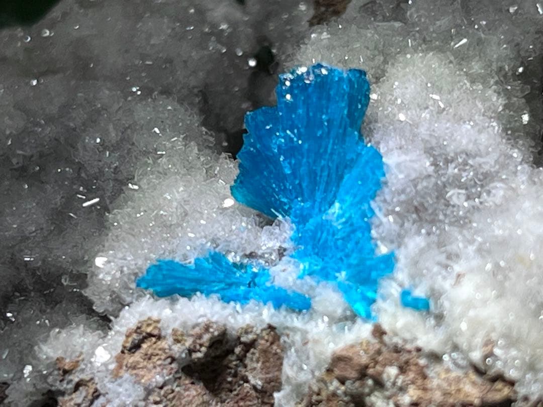 スチルバイト共生　解放のストーン　カバンサイト　原石ラフストーン