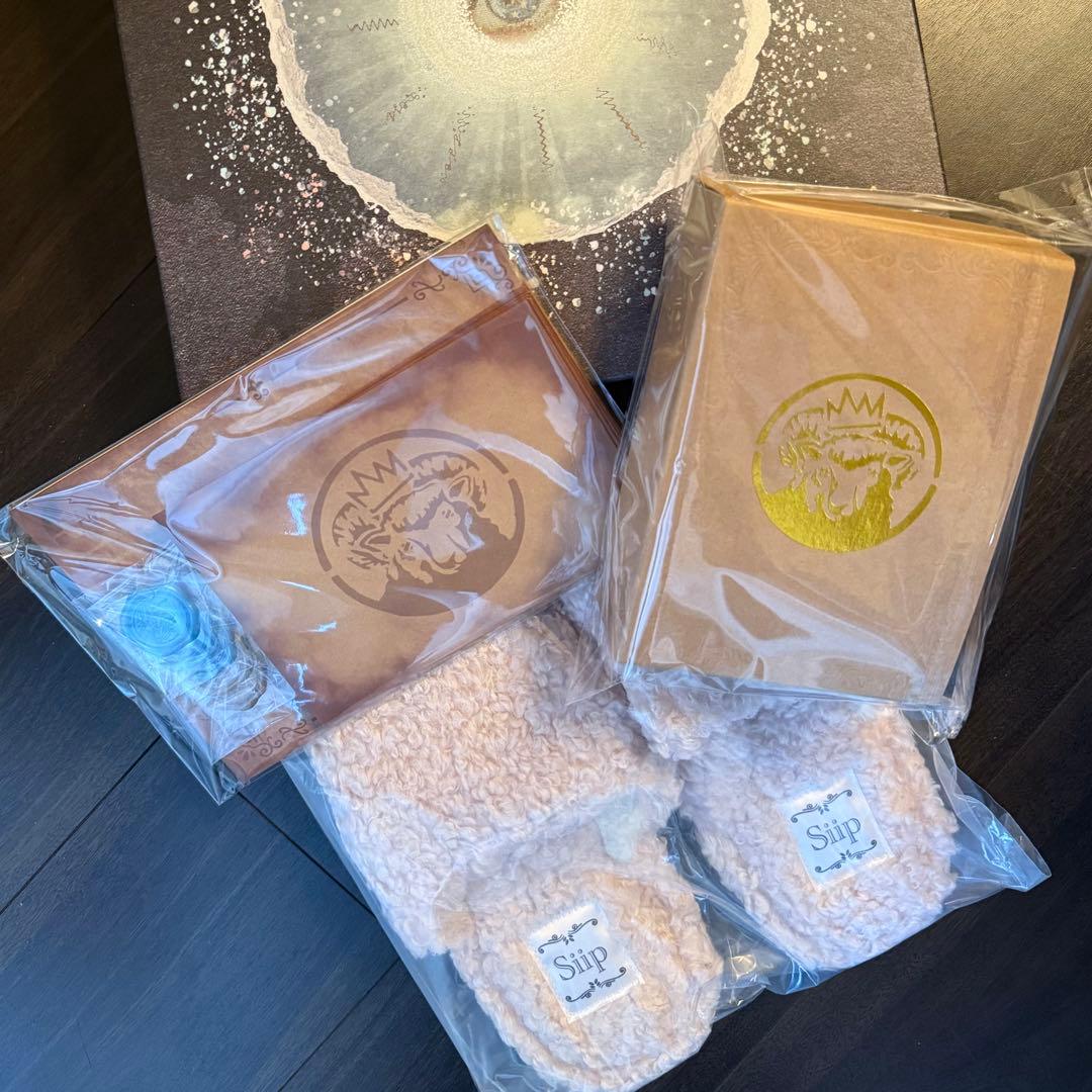 【りあ】Siipガイア 完全生産限定版 (グッズ、外箱)