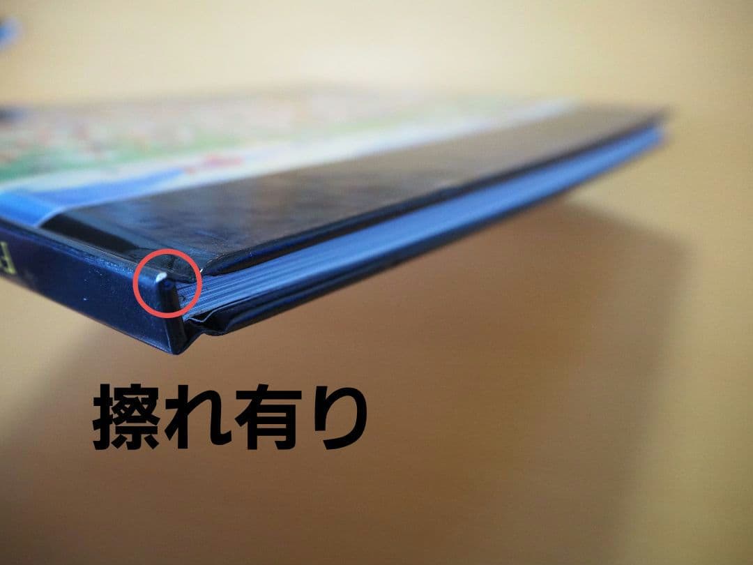 洋書 FROM PADS TO PALETTE / ERNIE BARNES