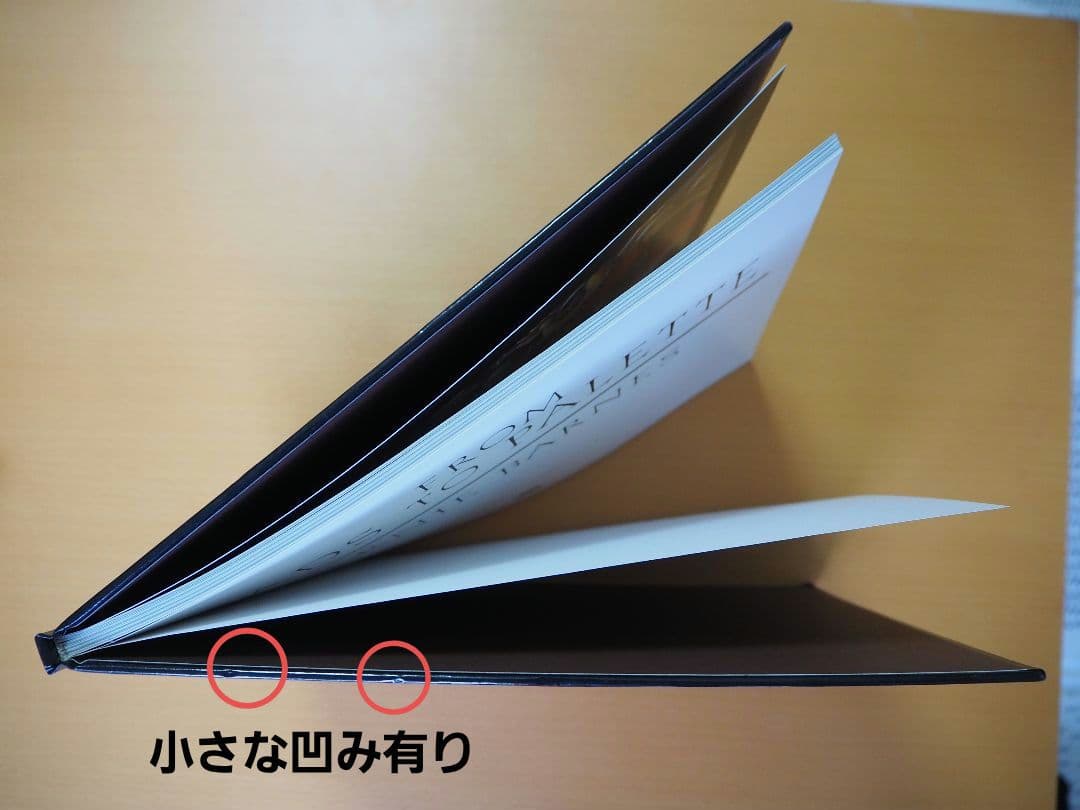 洋書 FROM PADS TO PALETTE / ERNIE BARNES