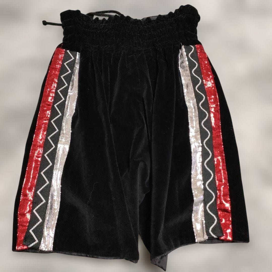 Mizuno ミズノ ベロア ボクシングショーツ 吞龍 ウェアパンツ 格闘技