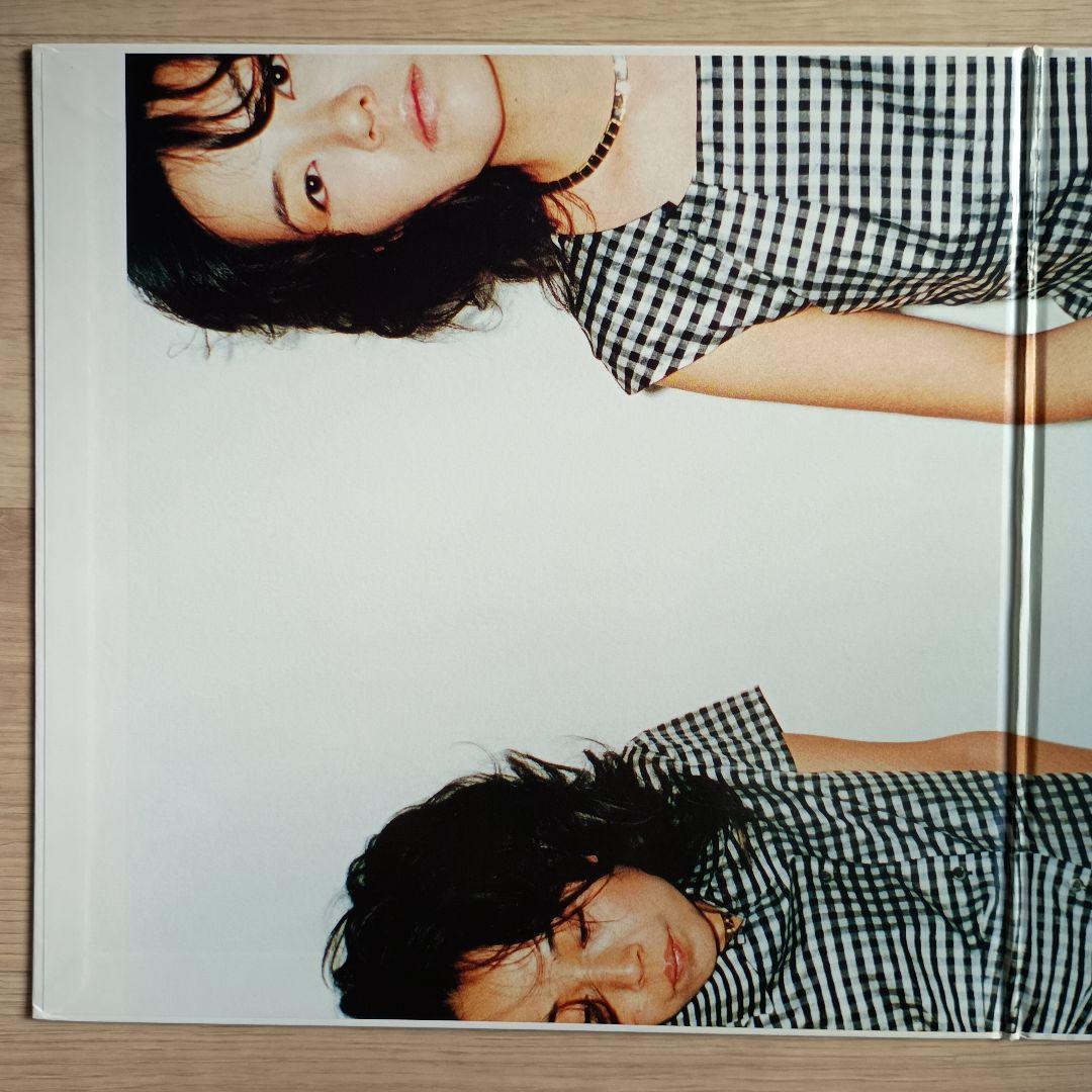 シーガル・スクリーミング・キス・ハー・キス・ハー　NO!NO!NO!