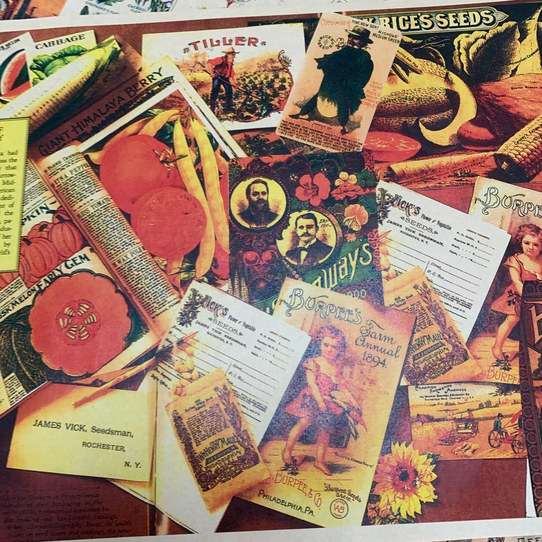 包装紙32×45×100枚