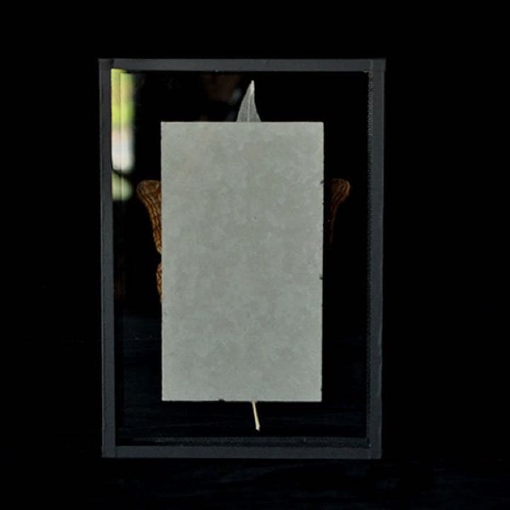 モルフォ蝶 標本 アンティーク sibora