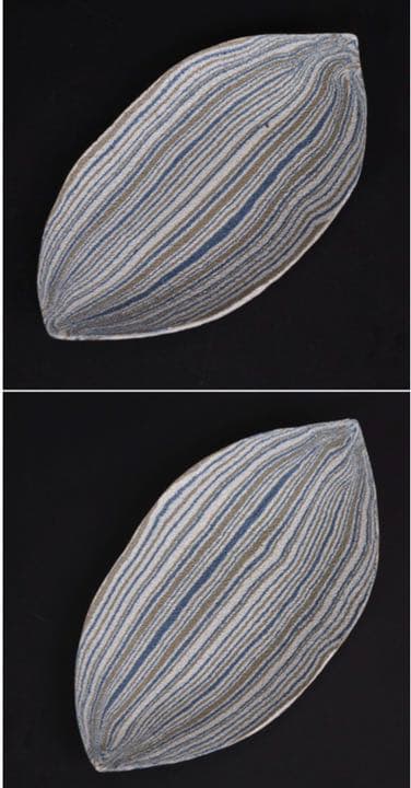 送料無料人間国宝【松井康成】造 練上げ嘯裂文葉皿２枚 幻の傑作 共箱 本物保証