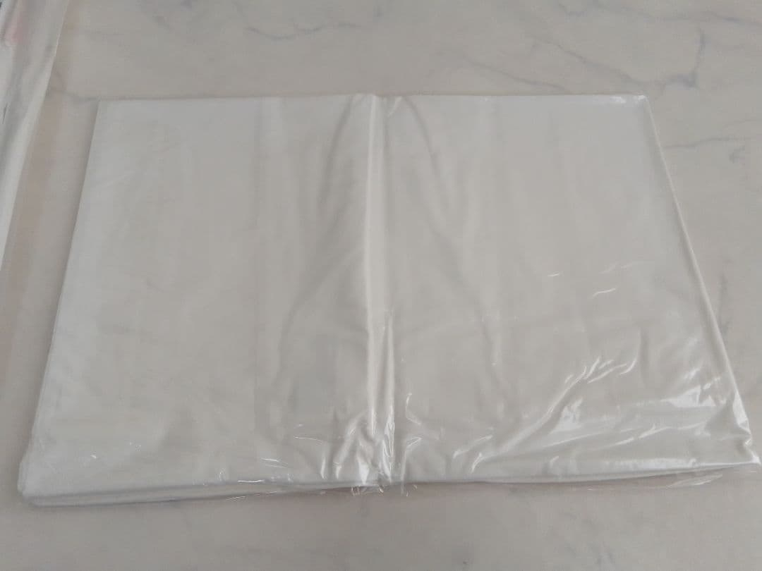 ☆未使用☆ Fabe メディカル枕 ファべ社 病院用枕 クラス1