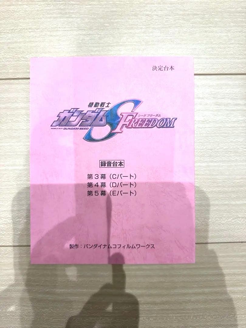 機動戦士ガンダムSEED FREEDOM B Mighty Edition限定