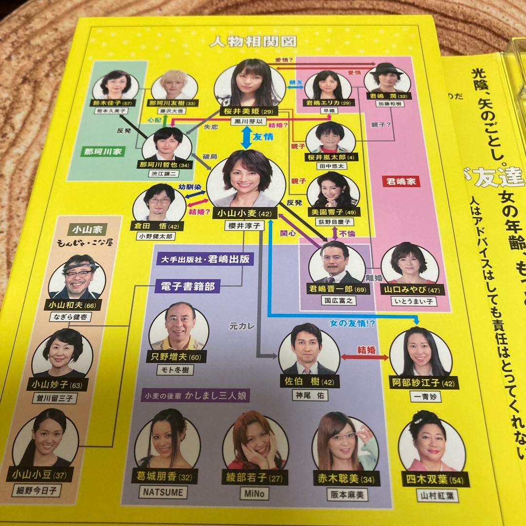 毒姫とわたし DVD-BOX〈9枚組〉櫻井淳子主演