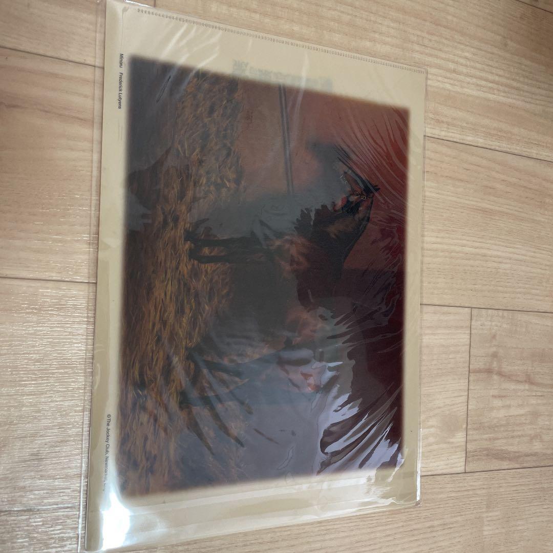 【非売品】第150回天皇賞・秋メモリアルブック他数品