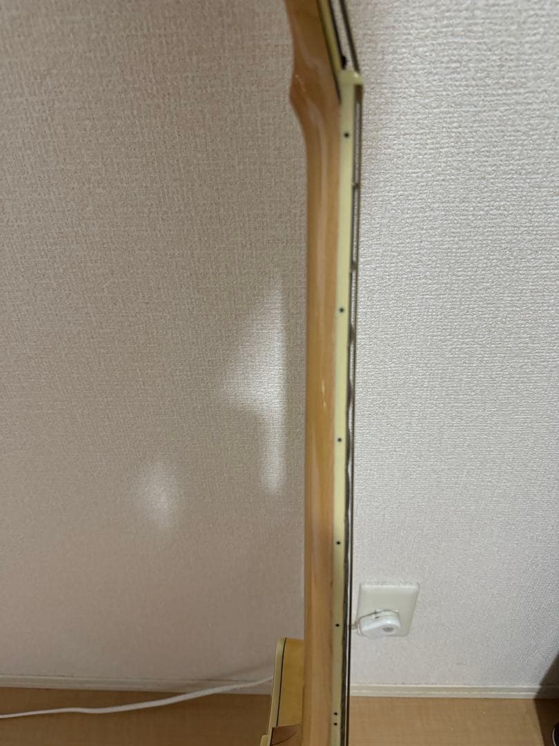 アイバニーズ製セミアコ