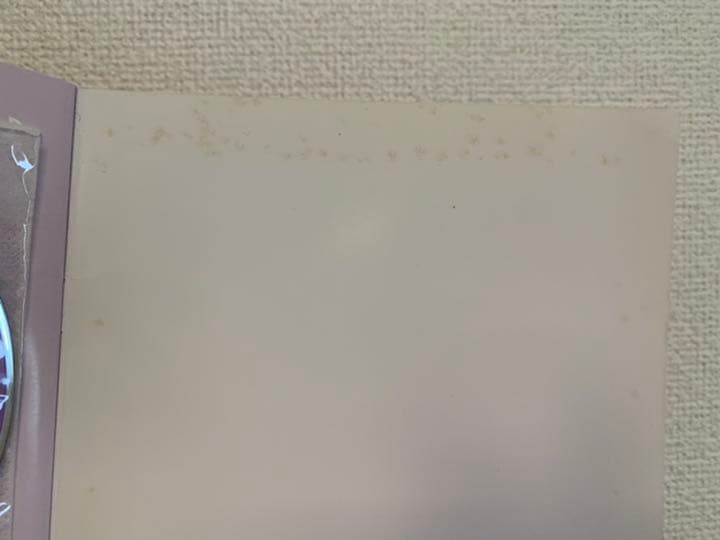 右脳を育てるPOPキッズ　オレンジキッズ　しちだ　七田