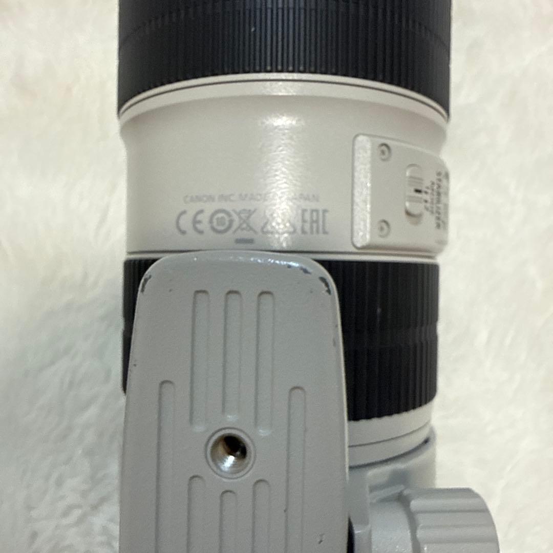 レンズ(ズーム) Canon EF 70-200mm f/2.8L IS III USM