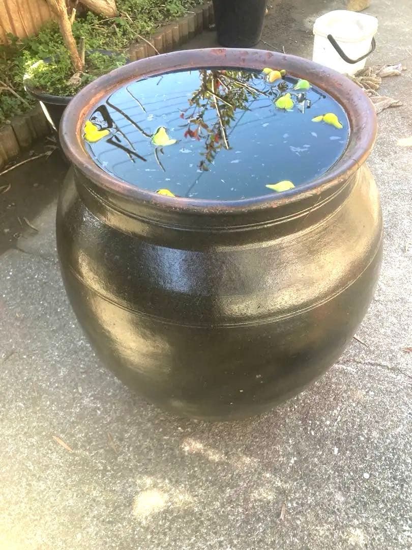 【古美術】趣のある黒茶褐色の陶器のカメ59センチ