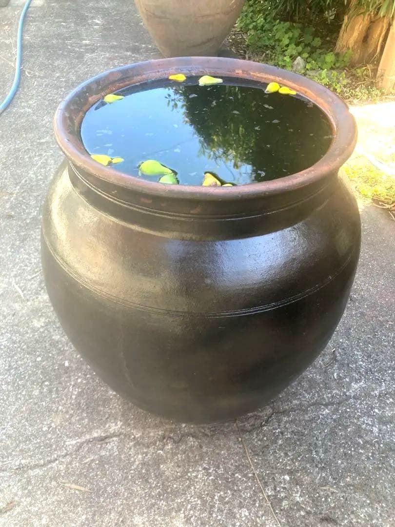 【古美術】趣のある黒茶褐色の陶器のカメ59センチ