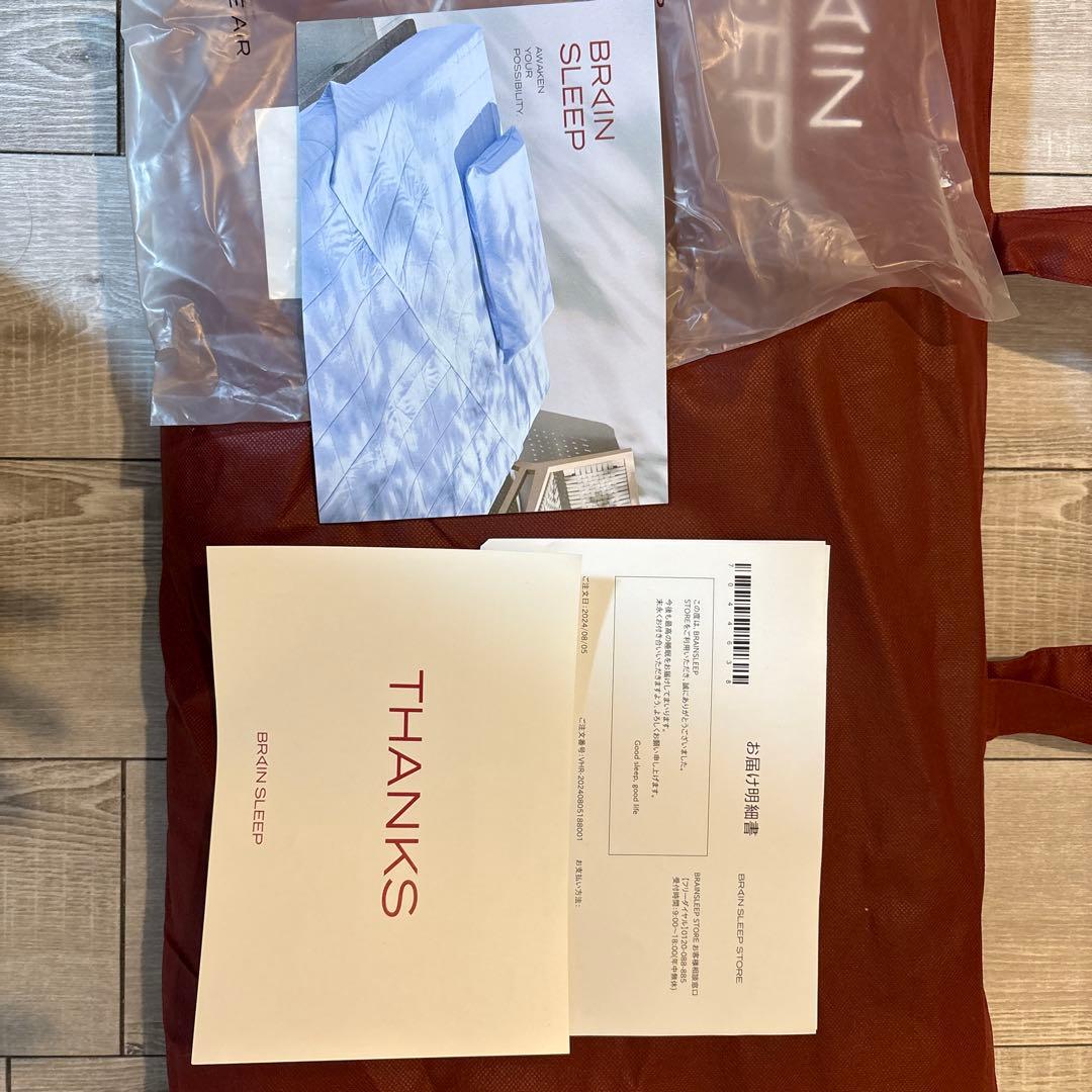 BRAIN SLEEP 枕・ピロー 標準サイズ