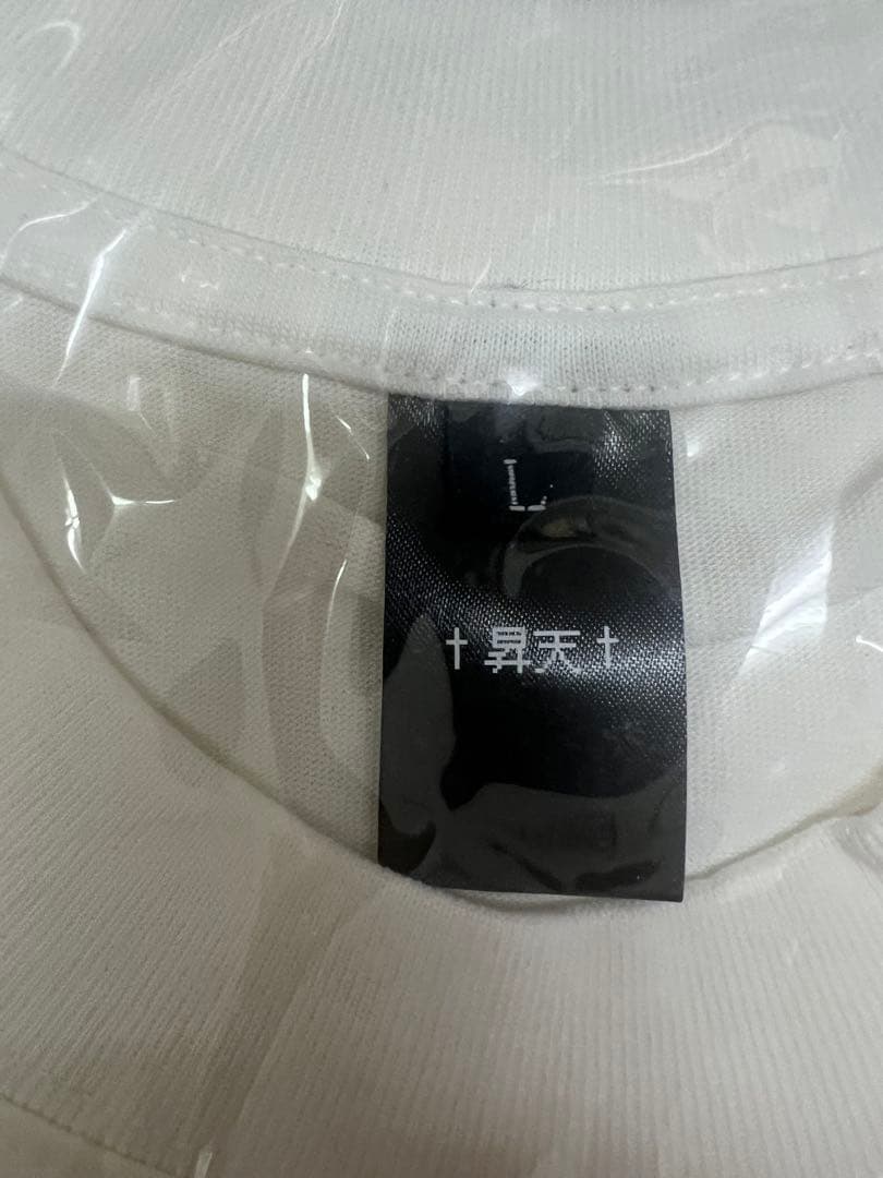 空から舞い降りし天使ちゃんT Lサイズ