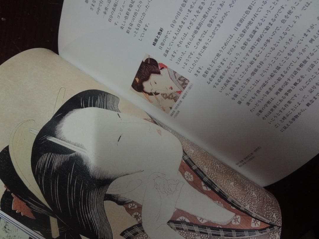 Color as Concept カラー・アズ・コンセプト CDROM付