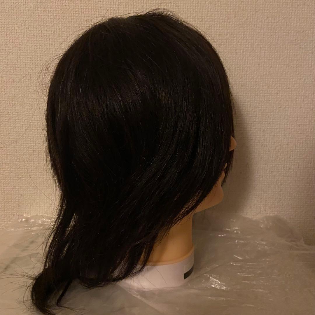 国家資格試験用カットウィッグ19体