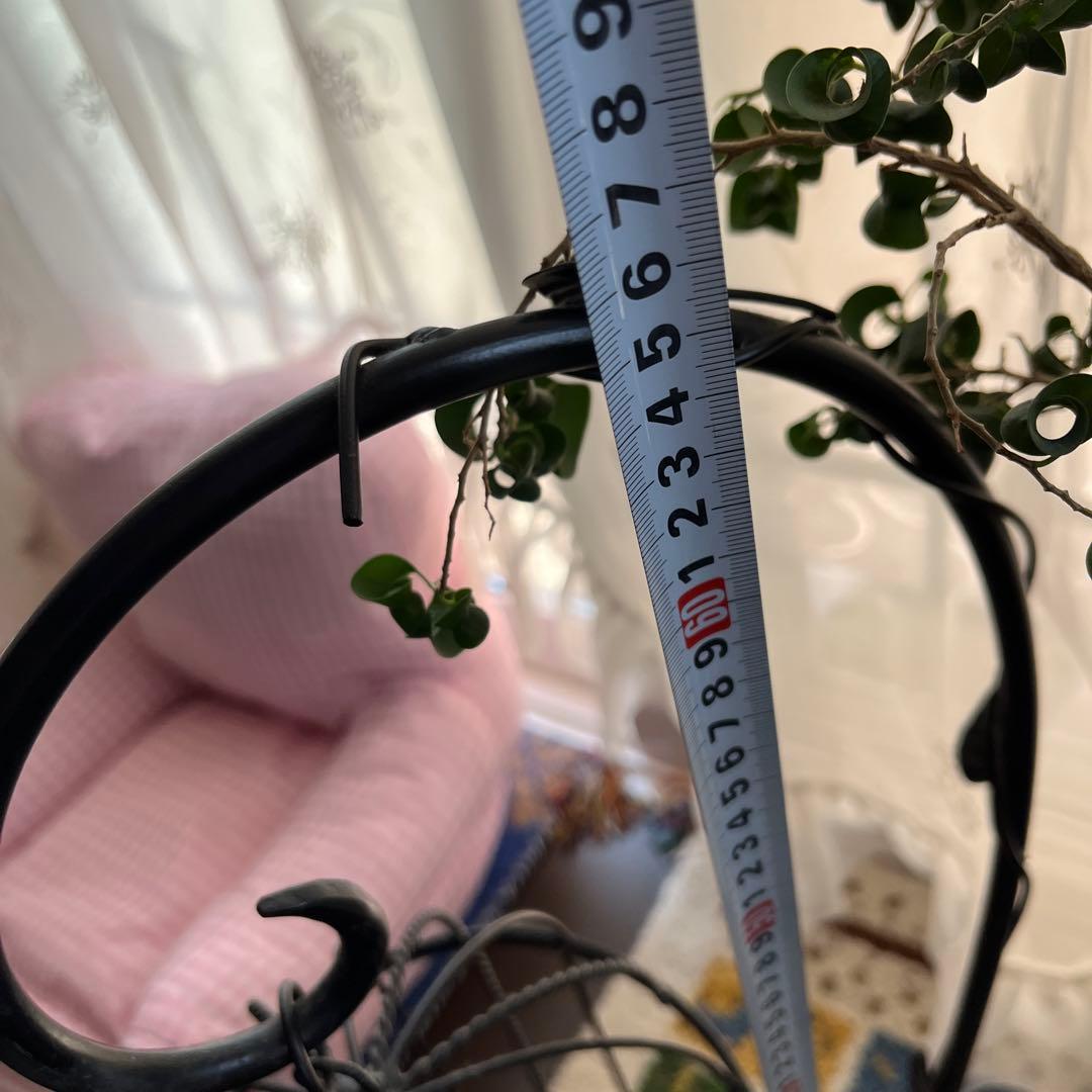 アイアン鳥かご