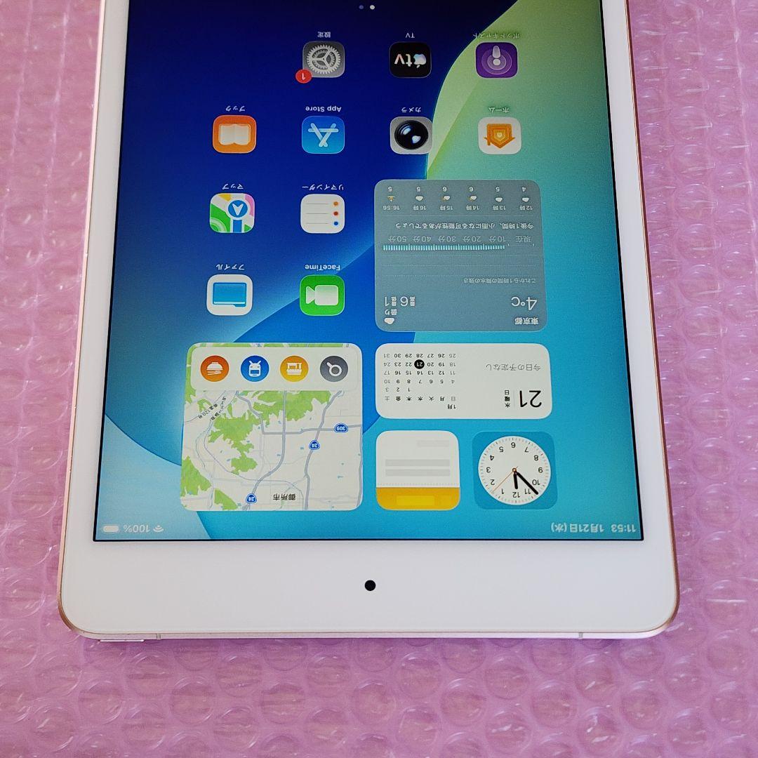 良品　iPad mini5　バッテリー大変良好　Wi-Fi+Cellular