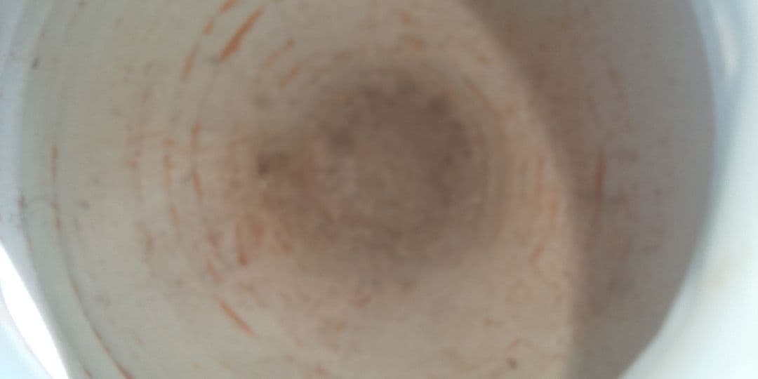 朝鮮美術 白釉垂瓶陽刻浮彫 銘在 白磁蓮紋丸壺