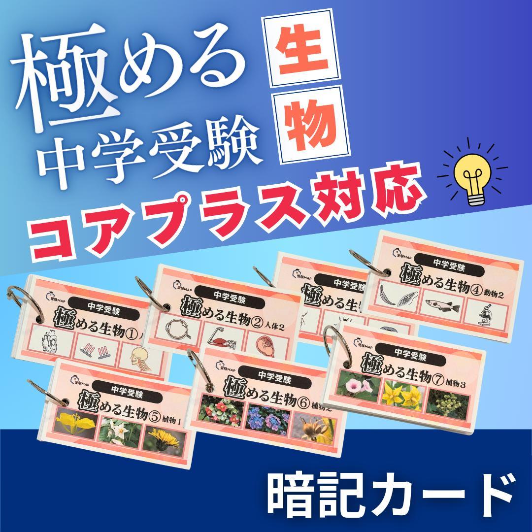 denden様 リクエスト 2点 まとめ商品