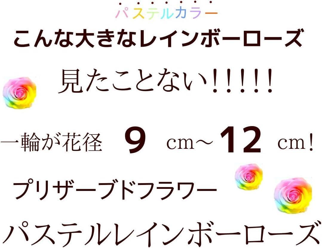 【高級プリザーブドフラワー】大輪バラ　 レインボーローズ フレーム ブラウン