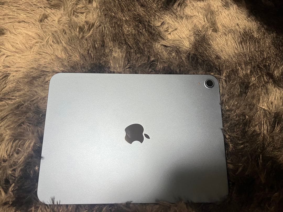 Apple iPad 本体 ブルー