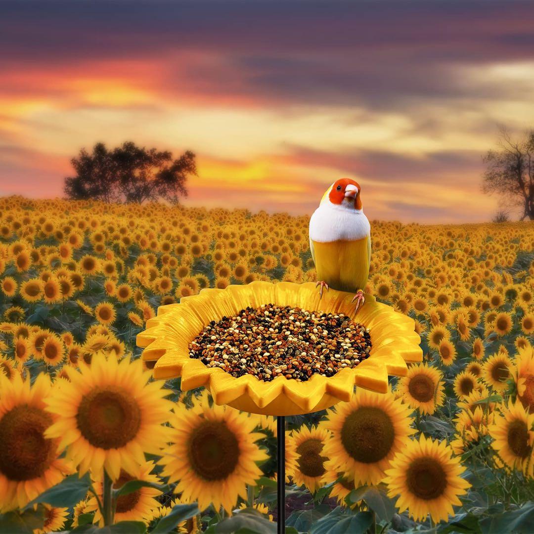 MIXXIDEA ひまわり鳥フィーダー バードバス アウトドア用 鳥の餌やり器