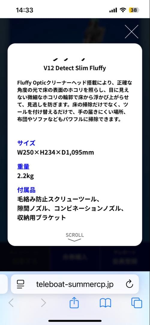 新品未開封Dyson V12 Detect Slim Fluffy 本体