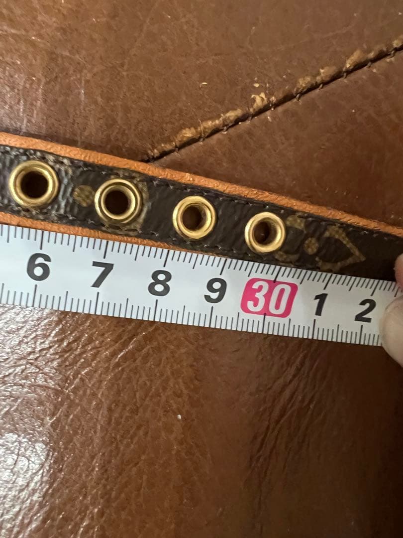 ルイヴィトン　首輪　箱＆袋付　写真撮影仕様のみ♪