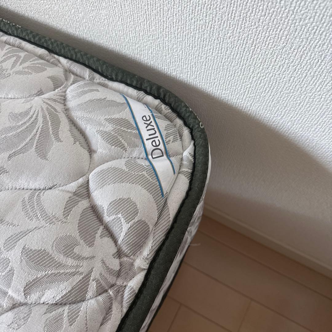 【セミダブル】サータ ペディック36 アニバーサリーDX