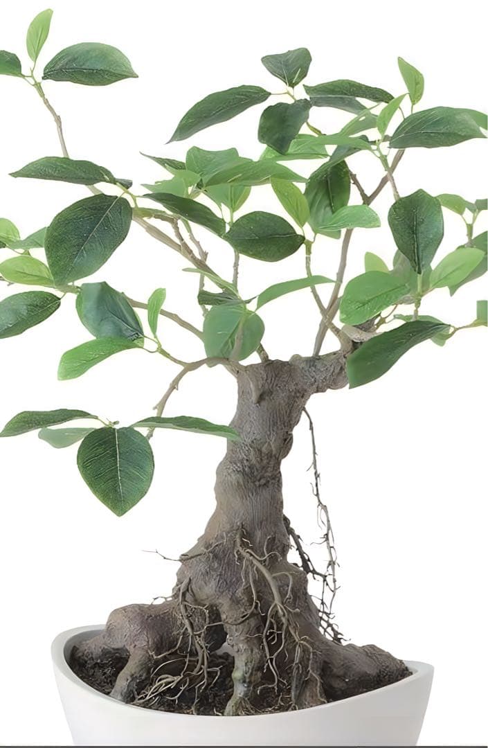 光触媒　人工観葉植物　ウォールグリーン　フェイクグリーン　ガジュマルボウル