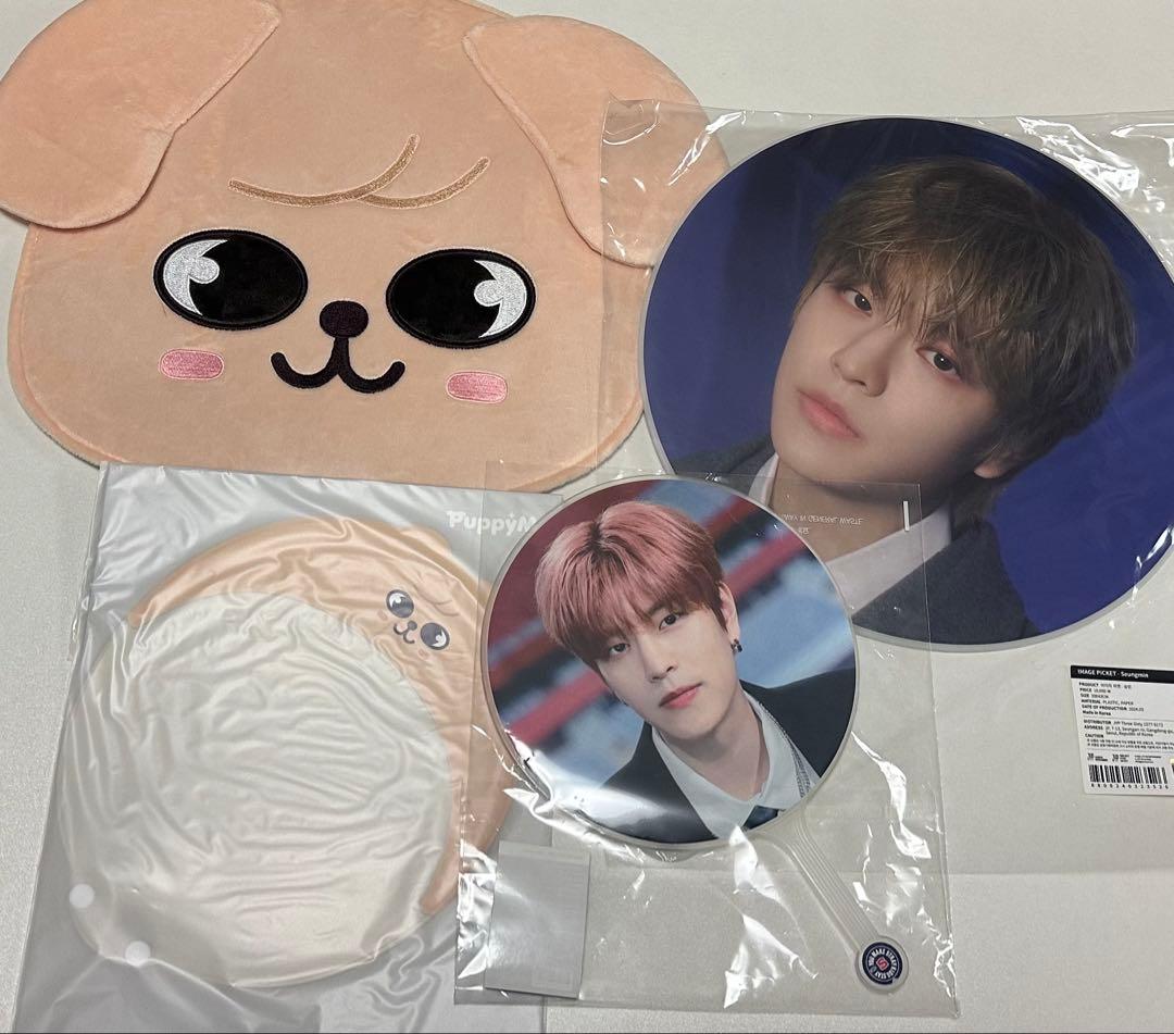 straykids スンミン トレカ まとめ売り セットパピーム