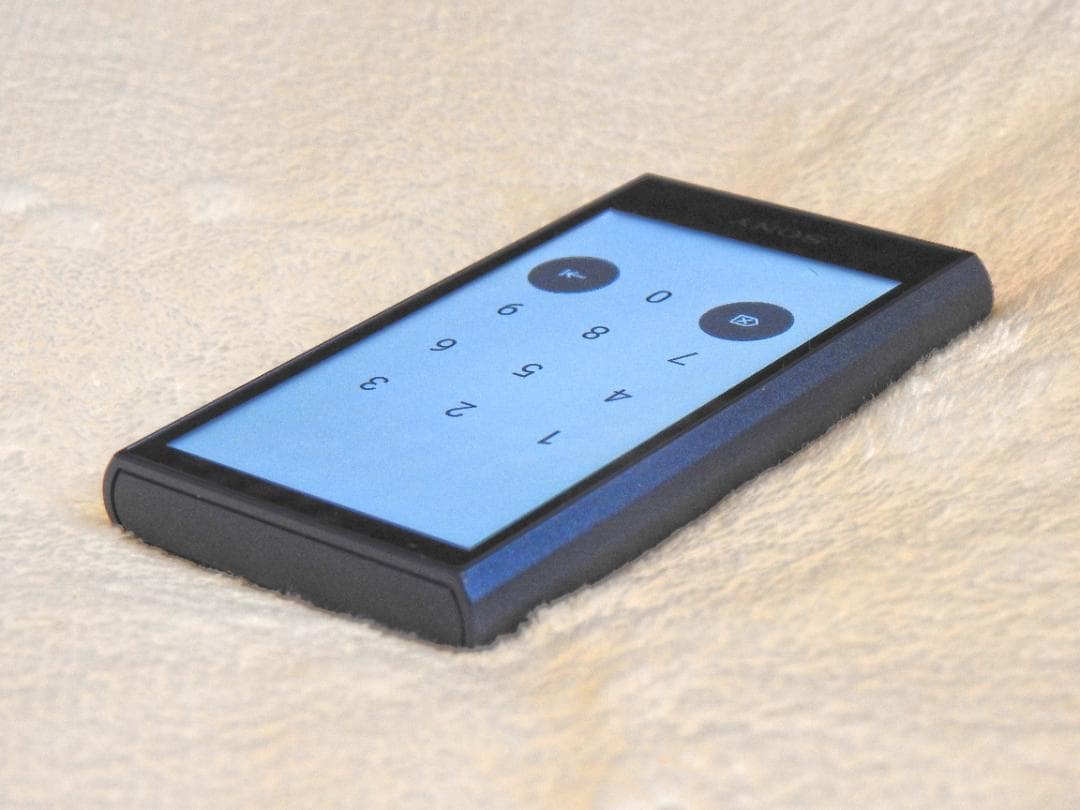 Sony ウォークマン NW-A306 32GB ケースおまけ