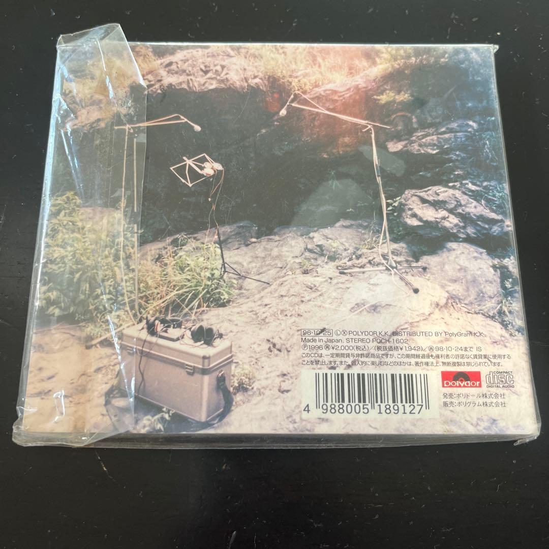 ★フィッシュマンズ　LONG SEASON、宇宙日本世田谷、他　10枚セット