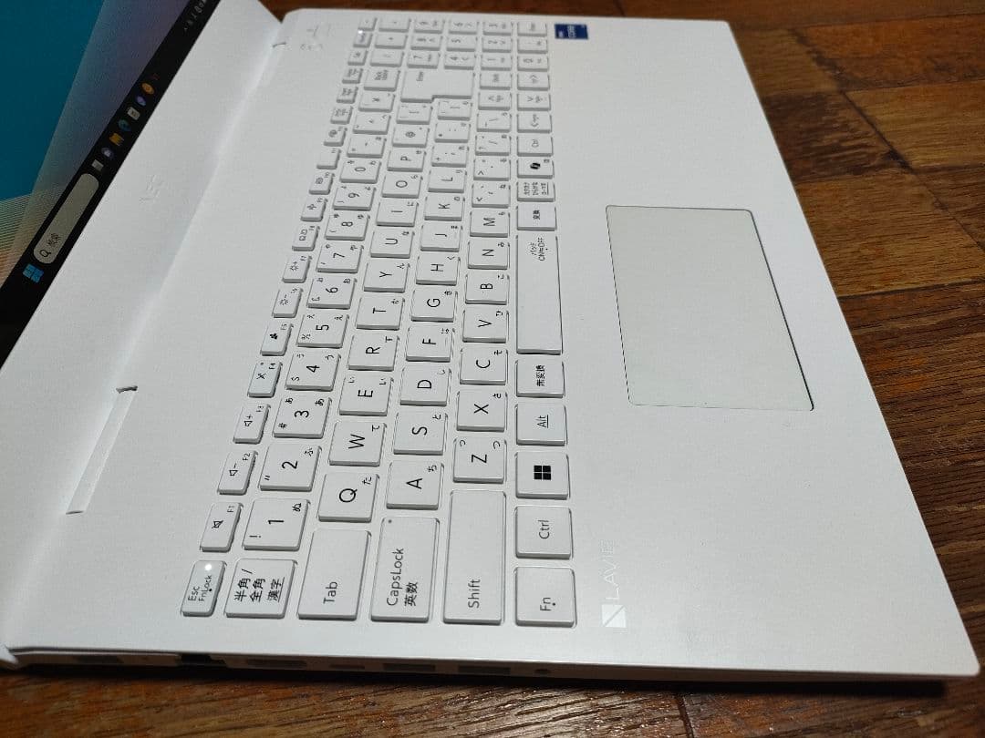 2025年モデル NEC LAVIE N15