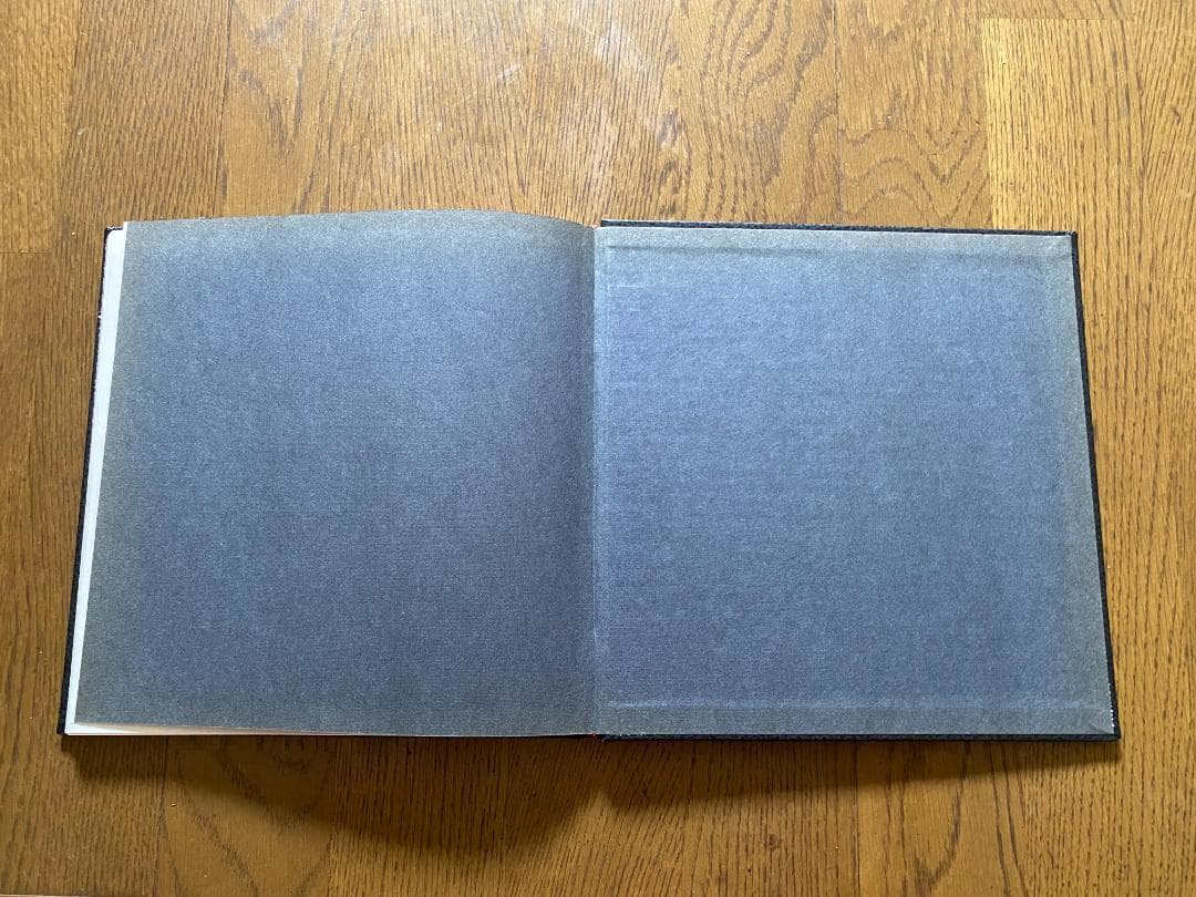 ウィリアム・エグルストン Eggleston's guide 1976年初版