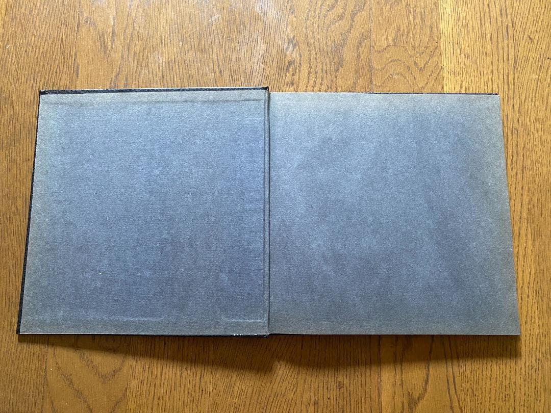 ウィリアム・エグルストン Eggleston's guide 1976年初版