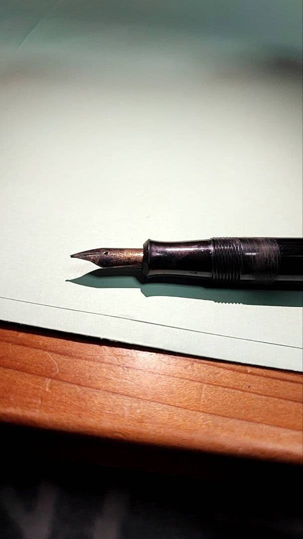 Pilot 14Kゴールド 万年筆 ボールペンセット