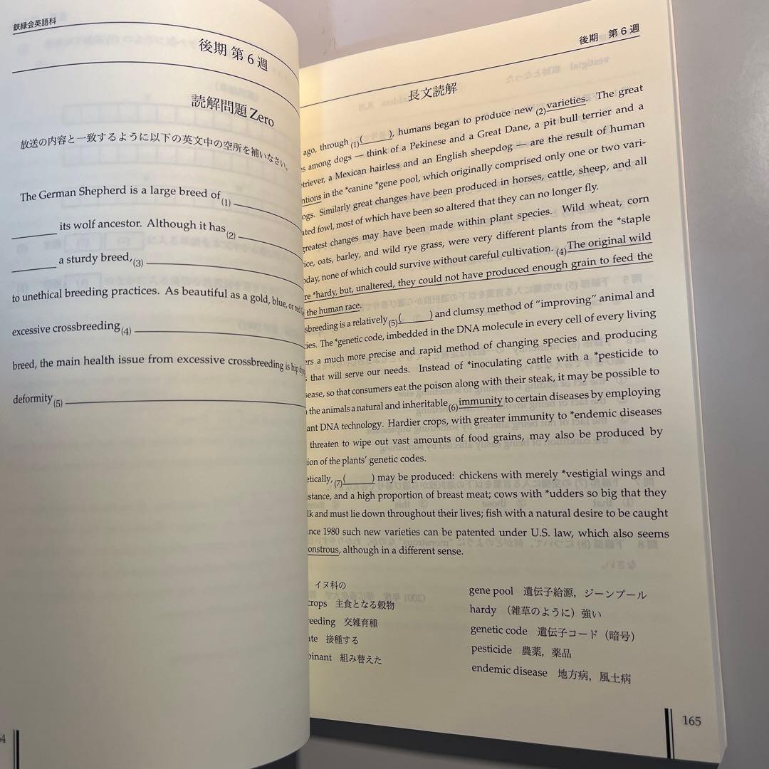 鉄緑会高3英語　復習シリーズ