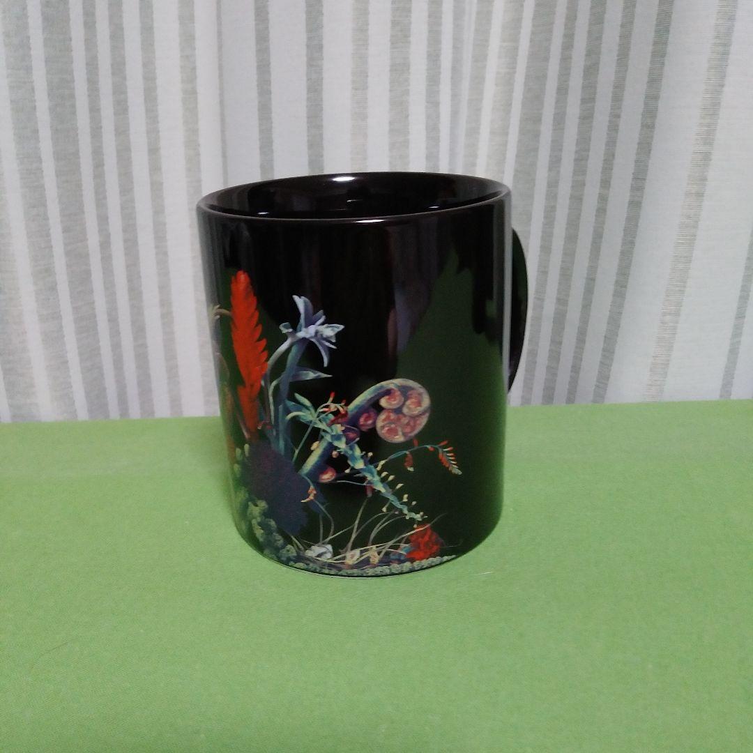 新品未使用スターバックス　fragment AMKK スタバ　トリプル　コラボ