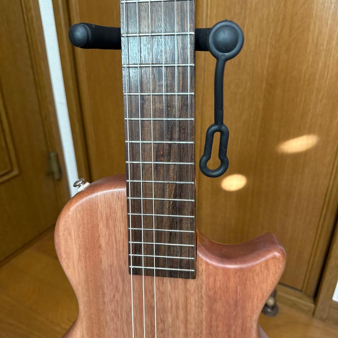 エレガットギター