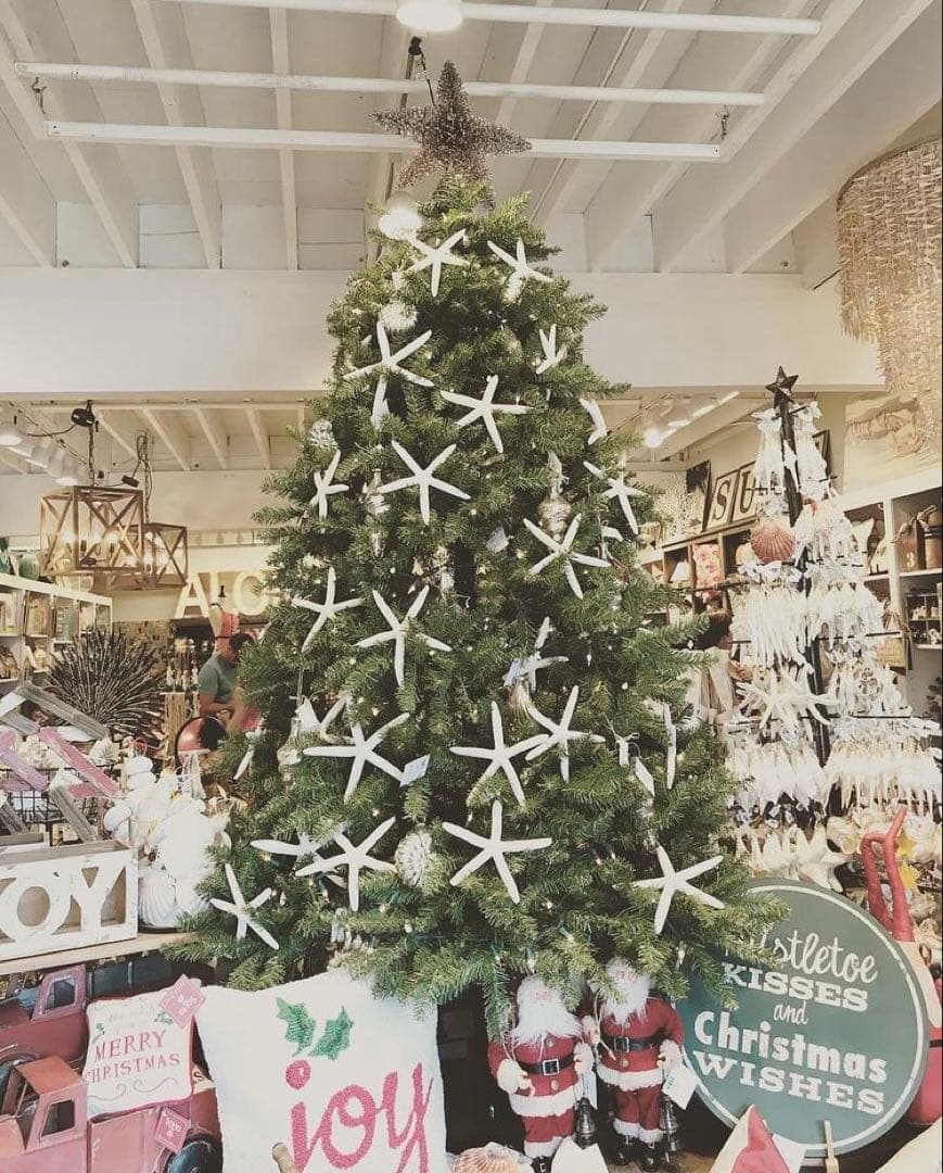 クリスマス オーナメント シェル ハワイ ロンハーマン wtw zara