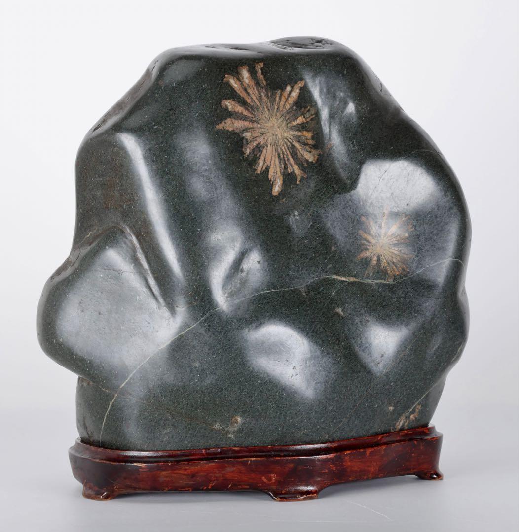 【特大13kg】菊花石 花紋石 台座付 天然石 鑑賞石 水石 盆石 飾石 原石