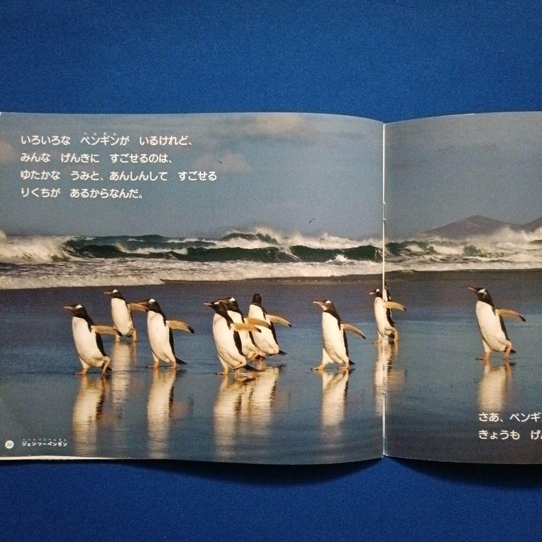 ビッグサイエンス　キンダーブックしぜん　こどものくに　ペンギンさんの絵本　大集合
