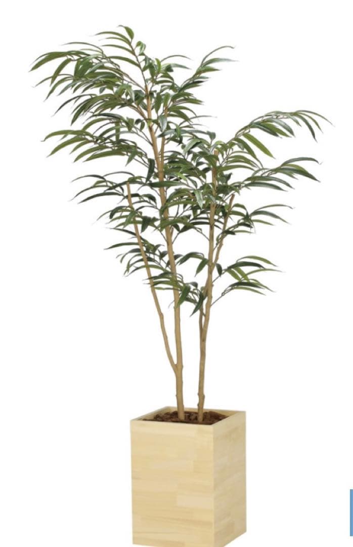 光触媒　人工観葉植物　フェイクグリーン　ウッドボックスショウナンゴム1.8m